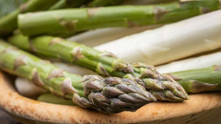 Witterung und Märkte bilden Herausforderung für österreichischen Spargel. Bild: © LK-Stmk/Alexander Danner.
