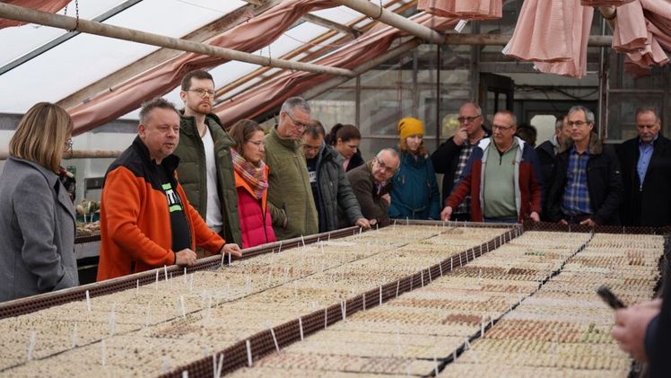 Mit seinen Kakteenkulturen zeigte Ulrich Haage den Azercanern eine sehr gegensätzliche Kultur zu den Heidepflanzen. Foto: Azerca/ Banse.