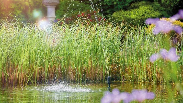 Aquarius Fountain Set Classic E. Bild: OASE.