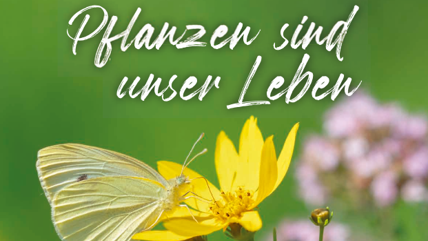 Von neuen Herausforderungen sowie möglichen Lösungsansätzen berichten die Gärtnerinnen und Gärtner. Dabei verfolgen sie stets das Ziel, den Gartenbau möglichst zukunftsfähig sowie nachhaltig aufzustellen. Bild: Gartenbau BB.