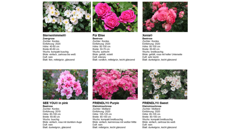 Sechs neue Sorten wurden mit dem begehrten Prädikat ausgezeichnet. Bild: BdB.