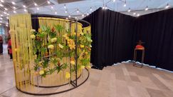 Impressionen von den Genter Floraliën. Bild: GABOT.