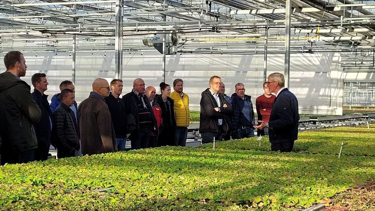 Die Fachgruppe Jungpflanzen besichtigt die Hortensien bei Kötterheinrich. Foto: FGJ.