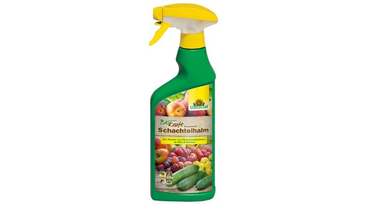 Mit Grundstoff Schachtelhalm Pflanzenkrankheiten abwehren. Bild: Neudorff.