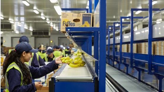 Fyffes ist eines der größten Obstunternehmen der Welt und Europas Bananenlieferant Nummer 1. Bild: Fyffes.