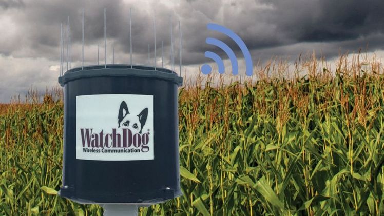MMM tech support GmbH & Co. KG präsentiert erstmals die WatchDog® Wireless Rain + Temperature Station auf der expoSE. Bild: MMM tech support GmbH & Co. KG.