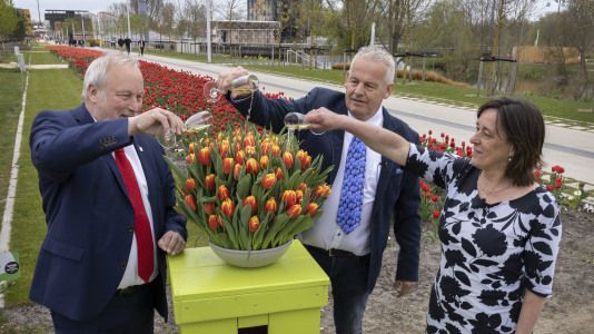 Auf dem Gelände der Floriade Expo 2022 wurdee eine spezielle Floriade-Tulpe getauft. Bild: Fotostudio Wierd.
