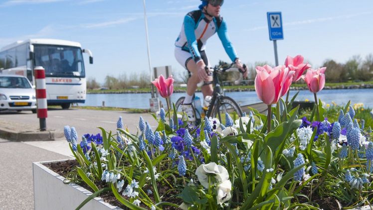 Öffentliche Grünflächen in Bewegung! Bild: Verver Export.