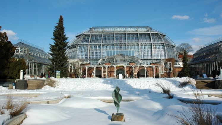 Winter: Blick aufs Große Tropenhaus. Bild: © I. Haas, Botanischer Garten und Botanisches Museum Berlin.