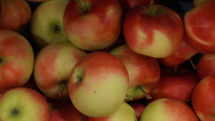 Prognosfruit schätzt die diesjährige Apfelernte in der Europäischen Union für die 28 Mitgliedstaaten auf 10.556.000 Tonnen. Bild: GABOT.
