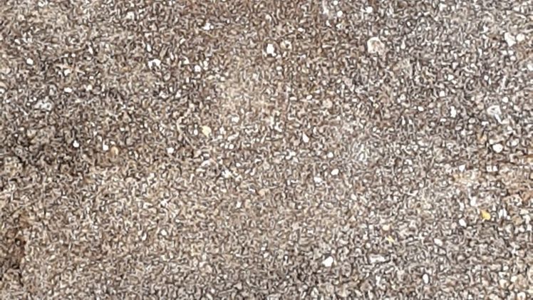 Das Seminar "Bodenökologie - Aktuelle Erkenntnisse und Entwicklungen" findet am 30. November in Heidelberg statt. Bild: GABOT.