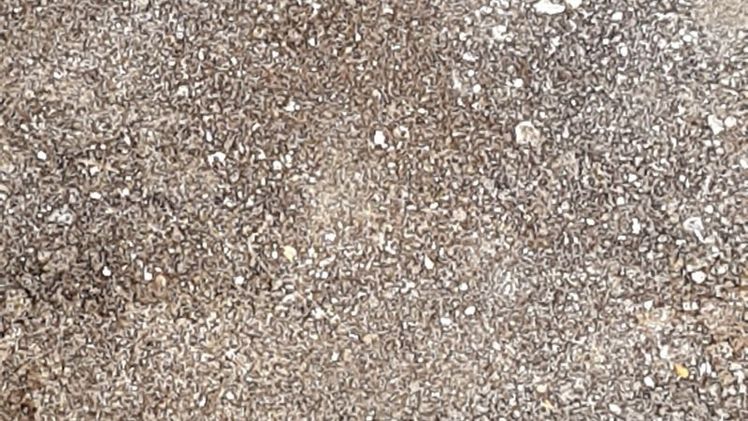 Es gibt wohl ein Transparenzdefizit bei der Erfassung von Eigentumsstrukturen im landwirtschaftlichen Bodenmarkt. Bild: GABOT.