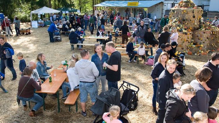 Mehr als 3.000 Besucher kamen nach Isernhagen auf den Hof der Bio-Gärtnerei Rothenfeld um zu feiern. Verschiedene Markt- und Informationsstände sowie Mitmachaktionen sprachen besonders Familien mit Kindern an. Bild: KÖN.