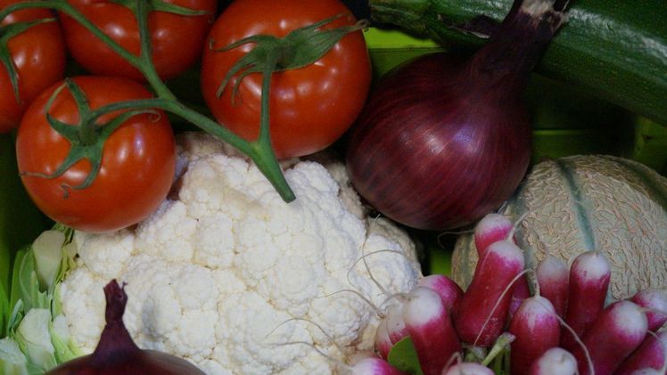 Die Corona-Pandemie stellte den Obst- und Gemüsebau vor bisher ungeahnte Herausforderungen. Bild: GABOT.