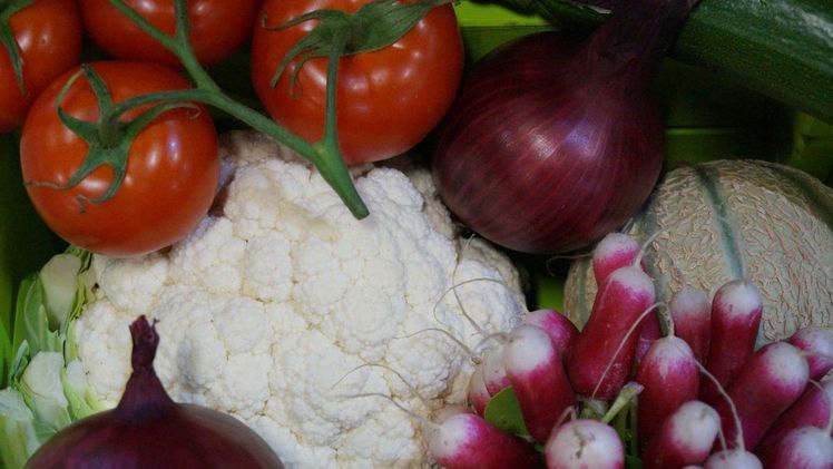 Die Nachhaltigkeitsinitiative SIFAV hat eine neue gemeinsame Nachhaltigkeitsstrategie für 2025 erarbeitet. Bild: GABOT.