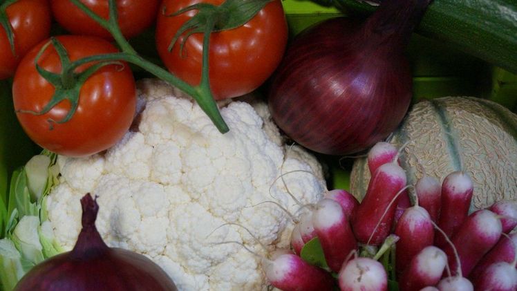 Kleine Erzeuger sollen vor der Macht der großen Handelsriesen geschützt werden. Bild: GABOT.