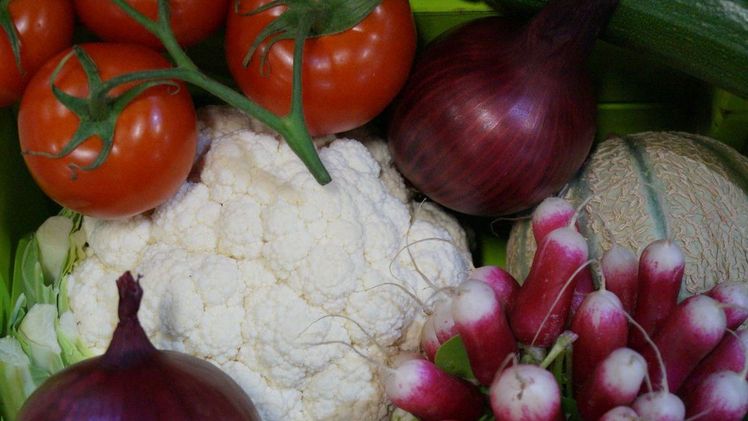 Frische Seminar-Webinar schafft Sicherheit im Qualitätsmanagement. Bild: GABOT.