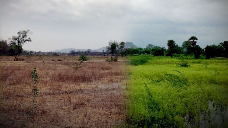 The Endless Seasonal Cycle. Bild: Madeleine Nicolas.