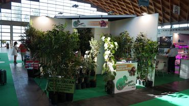 Impressionen von der Macfrut 2021 in Rimini. Bild: GABOT.