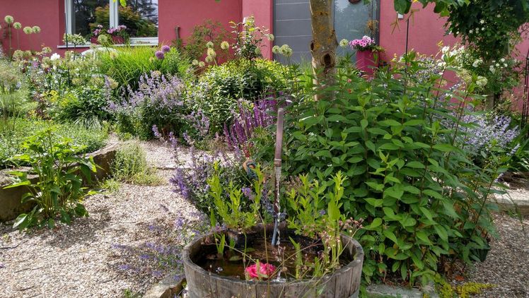 Ein Vorgarten mit Pflanzen- und Strukturvielfalt, wenig Versiegelung, Wasserelementen und Sitzgelegenheiten. Bild: © Korndörfer/ BGL.