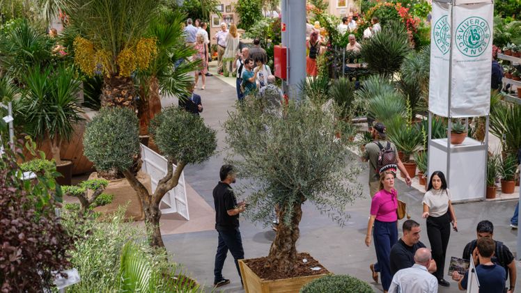 Iberflora und Eurobrico schließen gemeinsame Ausgabe mit einem Besucherzuwachs von 5% und mehr neuen Käufern ab. Bild: Iberflora, Marcos Soria Roca.
