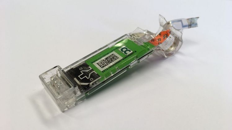 Erzeuger, Käufer und Spediteure haben in letzter Zeit viele betriebliche Probleme mit der Qualität von CC-Containern erlebt. Bild: GABOT.