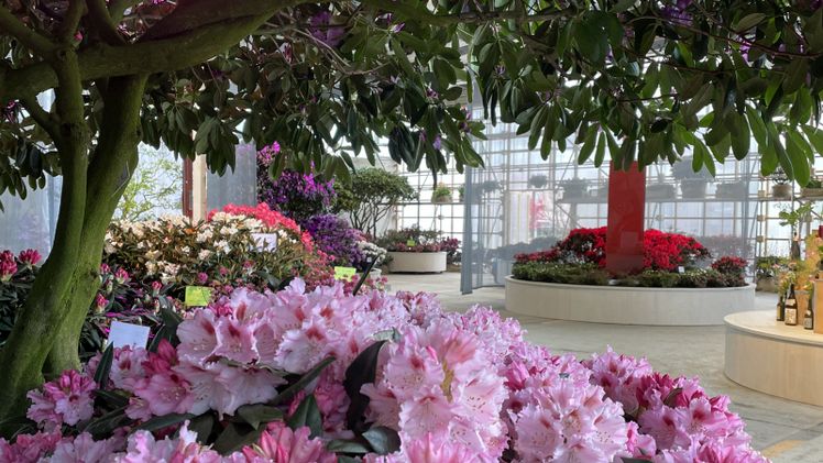 Impression von der Blumenhalle der BUGA 2023. Bild: Deutsche Bundesgartenschau-Gesellschaft mbH (DBG).