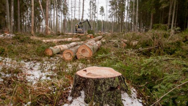 Europäischer Grüner Deal: Kommission schlägt Stärkung des strafrechtlichen Schutzes der Umwelt vor. Bild: EC.