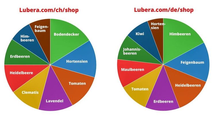 Top-Suchbegriffe auf lubera.com. Grafik: Lubera.