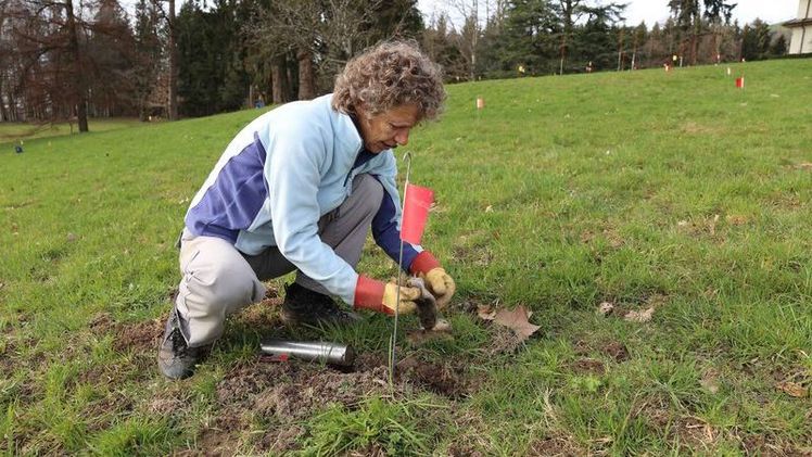 Die Fallen werden geleert und wieder gestellt, bis Hirsbrunner sicher ist, dass keine Maus mehr im Bau ist. Bild: mg, lid.ch.
