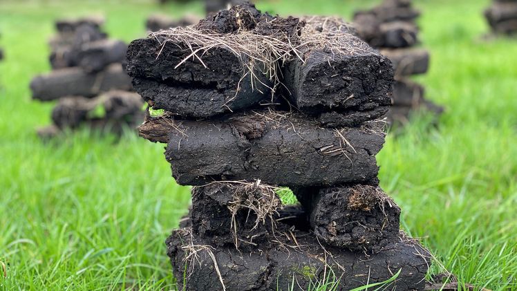 Zum Torfgewinn entwässerte Moore tragen zum CO2-Ausstoß bei. Bild: © N. Roesky/JKI.