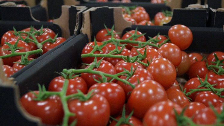 In Düsseldorf haben Händler auf dem Großmarkt eine Genossenschaft gegründet, um die Weiterentwicklung des Großmarkts zu sichern. Bild: GABOT.