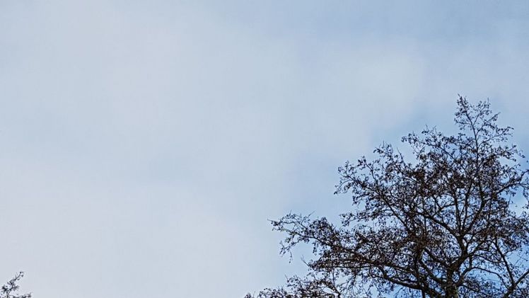 Im  Nordosten Deutschlands schien die Sonne nicht so häufig. Bild: GABOT.