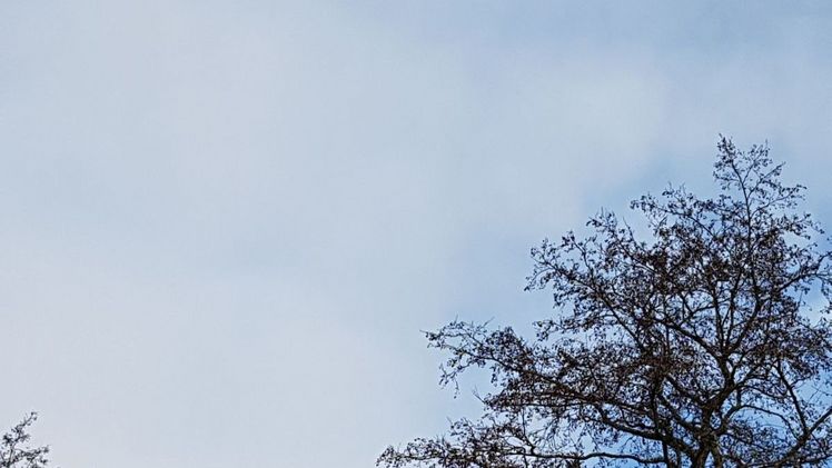 Die Durchschnittstemperatur lag im Winter 2021/22 mit 3,3°C um 3,1 Grad über dem Wert der international gültigen Referenzperiode 1961 bis 1990. Bild: GABOT.