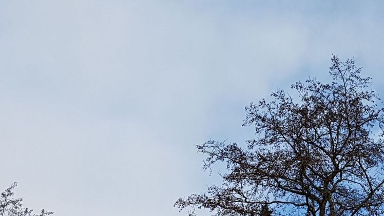 Mit 4,7 Grad Celsius (°C) lag im November 2021 die Durchschnittstemperatur um 0,7 Grad über dem Wert der international gültigen Referenzperiode 1961 bis 1990. Bild: GABOT.