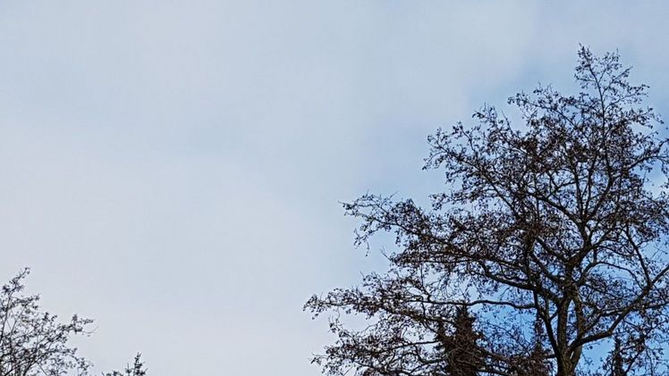 Der diesjährige Herbst war außergewöhnlich warm. Bild: GABOT. 
