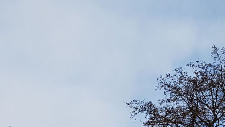 Ein kontrastreicher März, mit viel Sonnenschein und zu wenig Niederschlag. Bild: GABOT.
