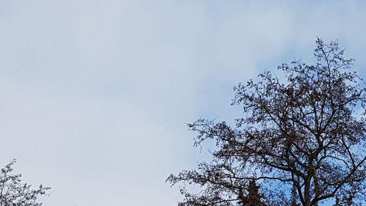 Der November verlief meist mild, brachte aber auch besonders zum Ende Vorstöße kälterer Meeresluft aus Nordwesten. Bild: GABOT.