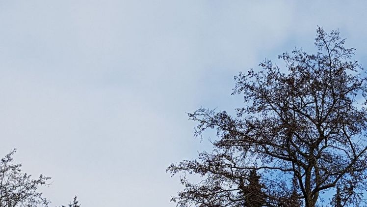 Mit 1,8°C lag der Temperaturdurchschnitt im Winter 2020/21 um 1,6 Grad über dem Wert der international gültigen Referenzperiode 1961 bis 1990. Bild: GABOT.