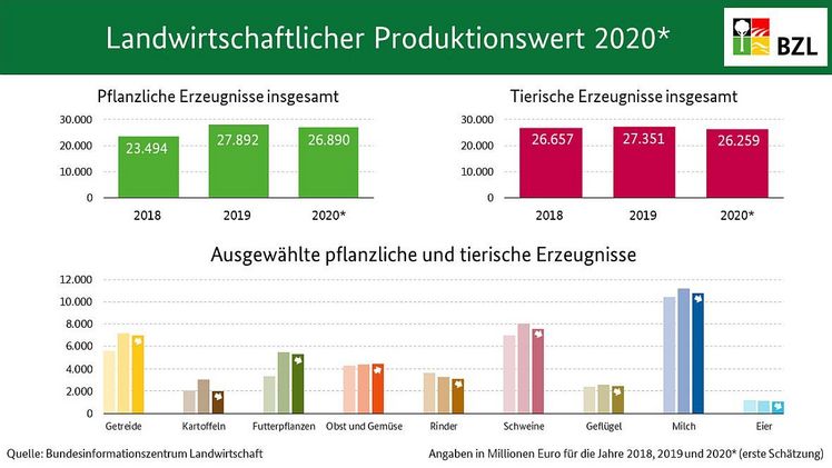 Es wurden die Mengen- und Preisangaben aus den verschiedenen Erhebungen von Januar bis Oktober 2020 berücksichtigt. Bild: BLE.