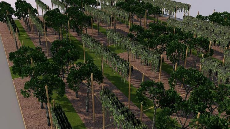 Bei Macfrut 2018 zum ersten Mal AcquaCampus. Bild: Macfrut 2018.