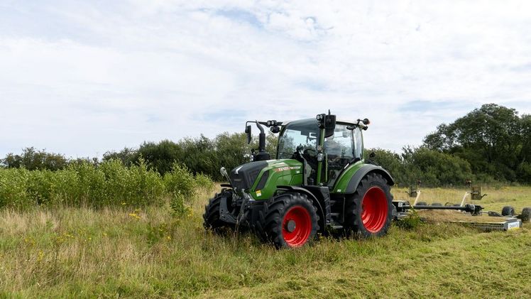Der Tiger auf Brachland mit Vegetation. Bild: GreenTec A/S.