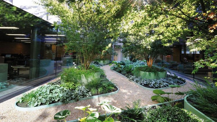 Die Nutzung von Hochbeeten und Aufkantungen visierten die Planer aufgrund der besonderen Untergrundsituation an. Bild: Richard Brink.