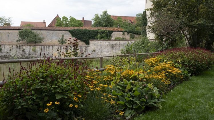 Tram Robuste - Rasenfläche. Bild: Verver Export.