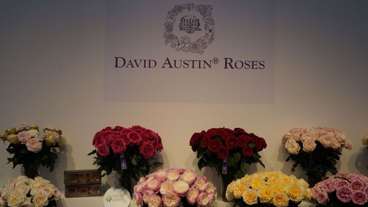 David Austin Senior ist am Dienstag im Alter von 92 Jahren in seinem Haus in Shropshire, umgeben von einer Familie, gestorben.