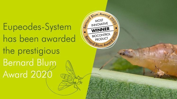 Eupeodes-System wurde mit dem renommierten Bernard-Blum-Preis ausgezeichnet. Bild: Biobest.