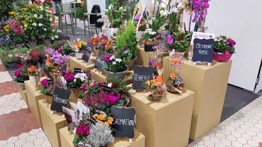 Impressionen vom Salon du Végétal 2024. Bild: GABOT.