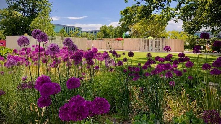 BUGA 2021 Erfurt. Bild: FGL.