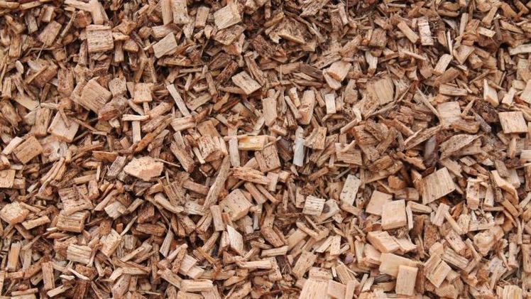 Die Kwekerij Baas setzt auf Hackschnitzel statt Erdgas. Bild: GABOT. Die Kwekerij Baas setzt auf Hackschnitzel statt Erdgas. Bild: GABOT.