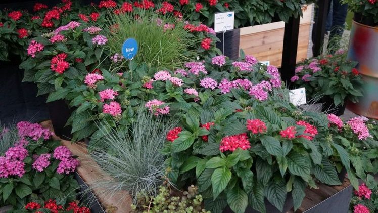 Der Marketingtag liefert Impulse für den Erfolg. Bild: GABOT. 